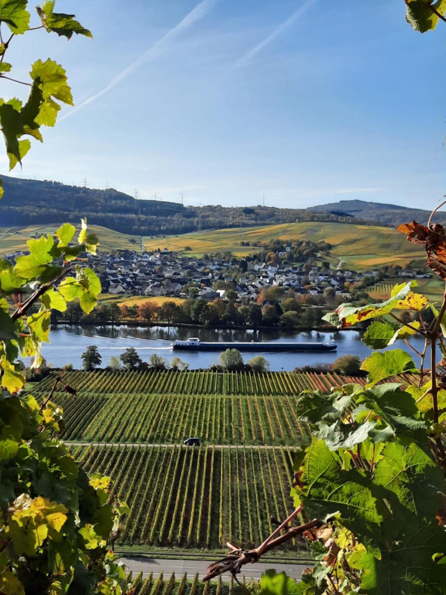 Hotel Weingut Weich à Riol Extérieur photo